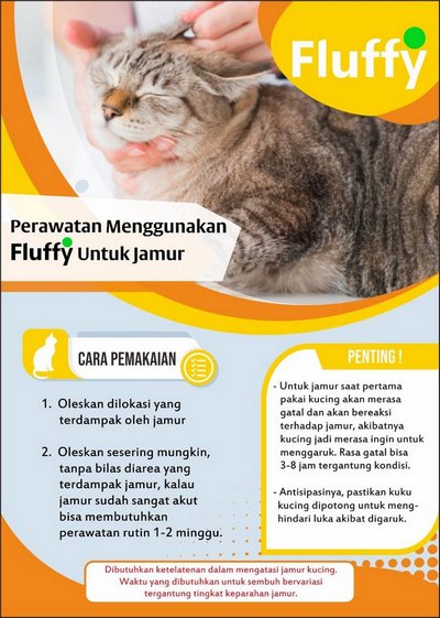 Cara Perawatan Jamur