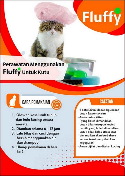 Cara Perawatan Kutu